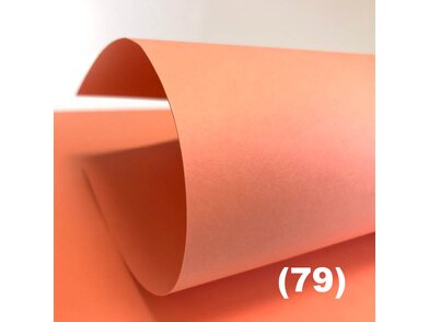 Color STYLE Fresh close-up vibrant coral | © EP