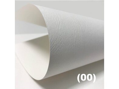 Color STYLE Leather Close-up white | © EP