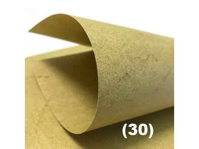 Elefantenhaut Close up elfenbein